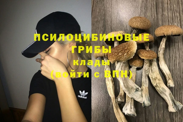 apvp Белоозёрский